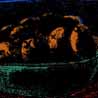 Bowl Of Fruit, 2006, Digital Archival Print,  24x17cm, edition of 6
